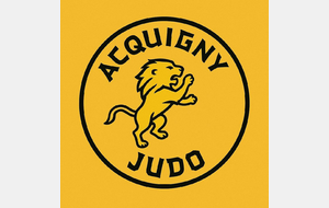 Tournoi Mini-Poussins / Poussins / Benjamins - Acquigny (27)